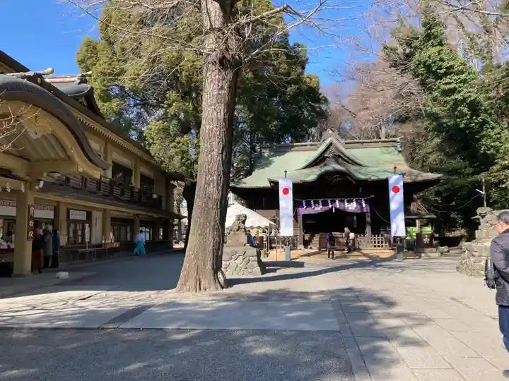 谷保天満宮(東京都)