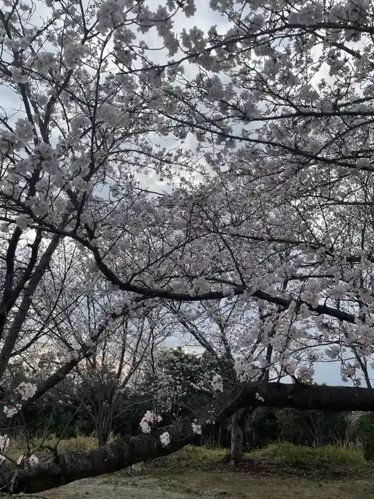 貴船神社の自然