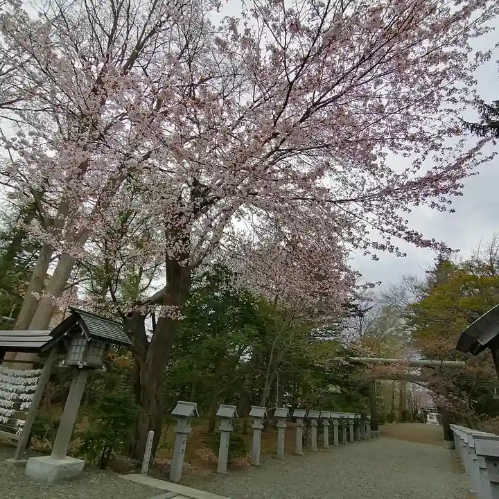 信濃神社のその他建物