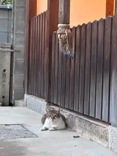 住吉神社(京都府)