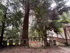 立磐神社本殿(奈良県)