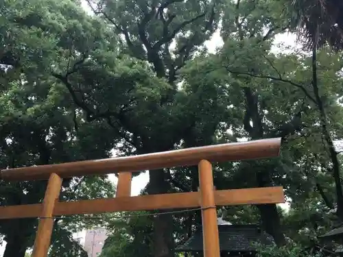 行徳弁天の森21のその他建物