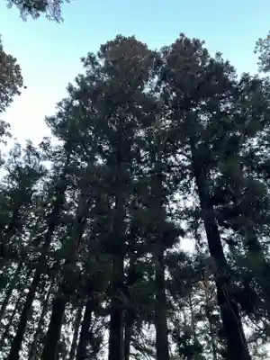 大宮温泉神社の自然