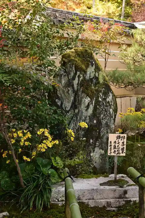 圓通寺(京都府)