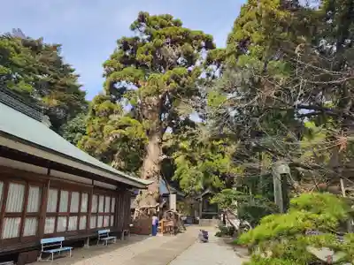 極楽寺のその他建物