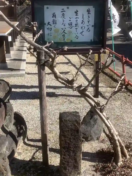 常福寺(愛知県)