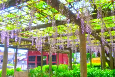 日吉神社(東京都)