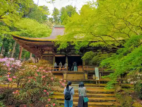 室生寺の本殿・本堂