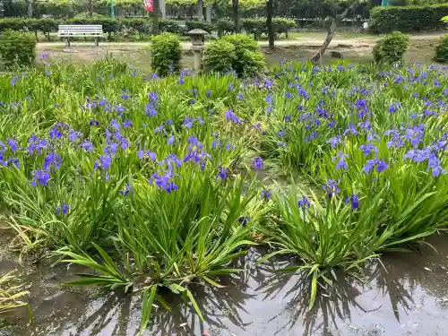 知立神社(愛知県)