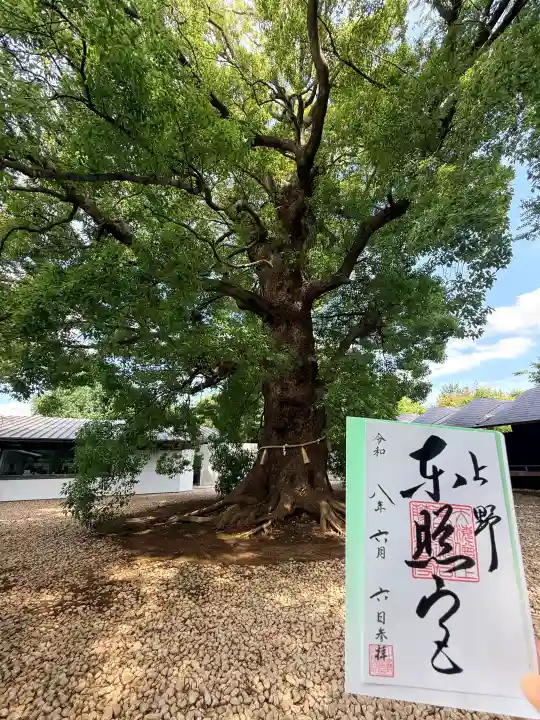上野東照宮(東京都)