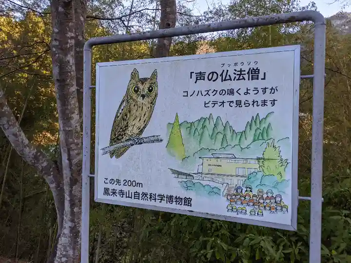 鳳来寺山奥の院(愛知県)