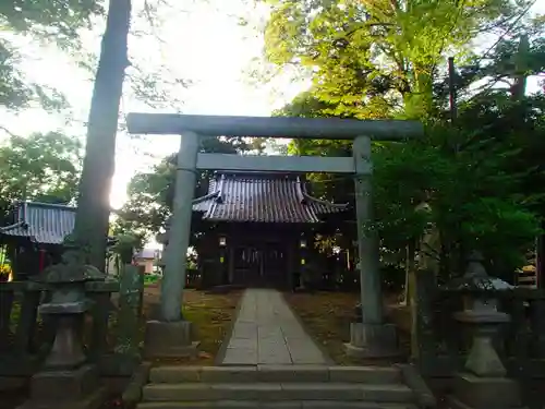 松山神社の鳥居