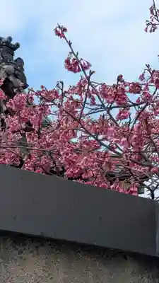 金佛殿 延壽寺（延寿寺）(京都府)