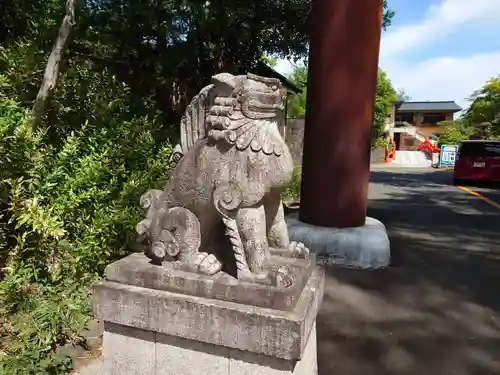 宮城縣護國神社の狛犬