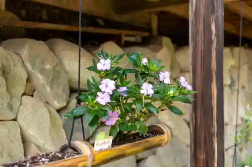 子檀嶺神社(長野県)