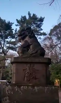 石神井氷川神社の狛犬