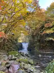 止滝神社の自然