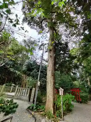 鴨都波神社のその他建物