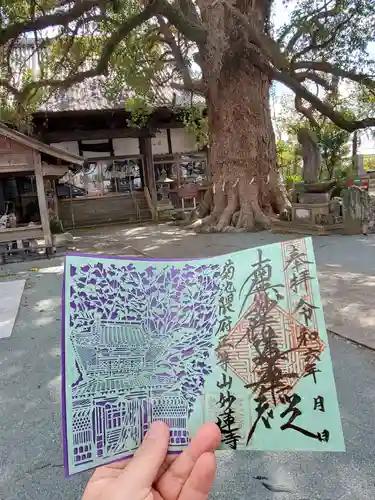 妙蓮寺(熊本県)