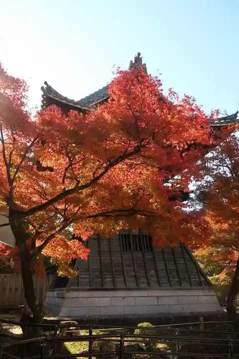 永保寺(岐阜県)