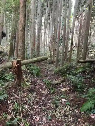 山神神社の自然