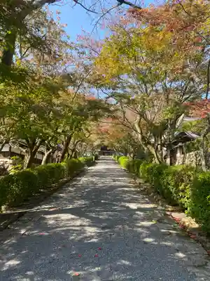 西教寺(滋賀県)