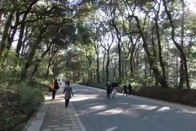 明治神宮(東京都)