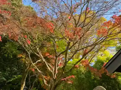 西明寺(栃木県)