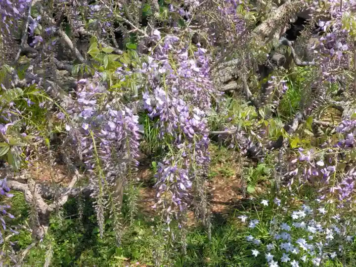 普門院(神奈川県)