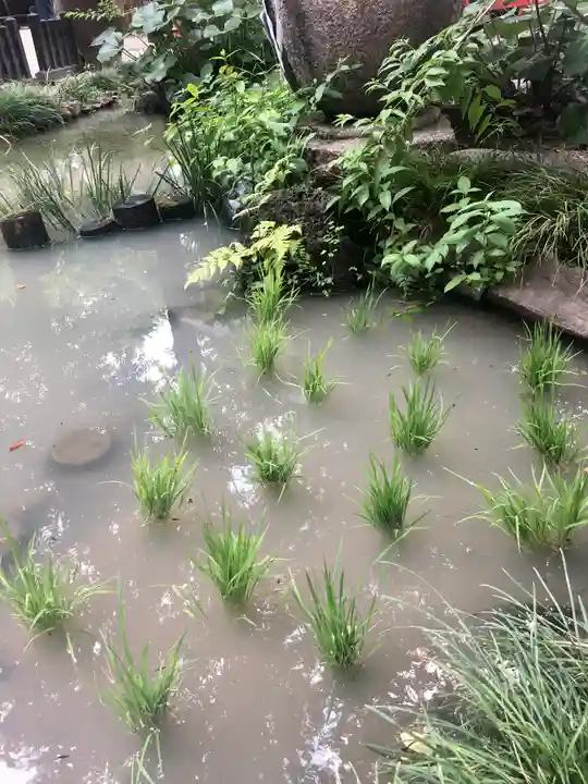 田無神社の自然