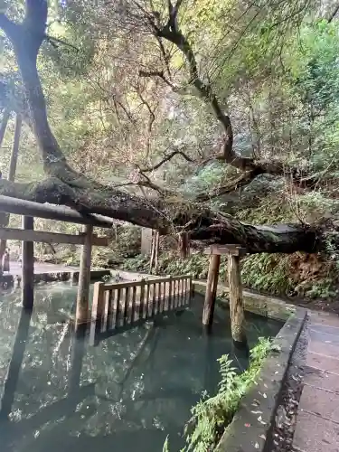 鹿島神宮の{uncategorized: "未分類", other: "その他", undefined: "問題あり", building: "その他建物", grave: "お墓", sacred_gate: "鳥居", guardian: "狛犬", statue: "像", buddha: "仏像", history: "歴史", nature: "自然", garden: "庭園", animal: "動物", pagoda: "塔", temizu: "手水舎", mountain_gate: "山門・神門", sanctuary: "本殿・本堂", subordinate: "末社・摂社", art: "芸術", scenery: "景色", jizo: "地蔵", ema: "絵馬", goshuin: "御朱印", omikuji: "おみくじ", items: "授与品その他", amulet: "お守り", goshuincho: "御朱印帳", eats: "食事", festival: "お祭り", votive_dance: "神楽", shichigosan: "七五三参", wedding: "結婚式", experience: "体験その他", initially: "初詣", around: "周辺", anti_infection: "感染症対策"}
