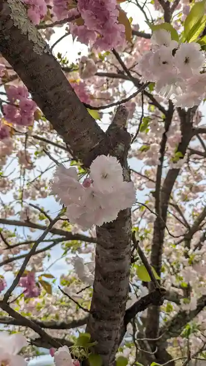 伊香具神社(滋賀県)