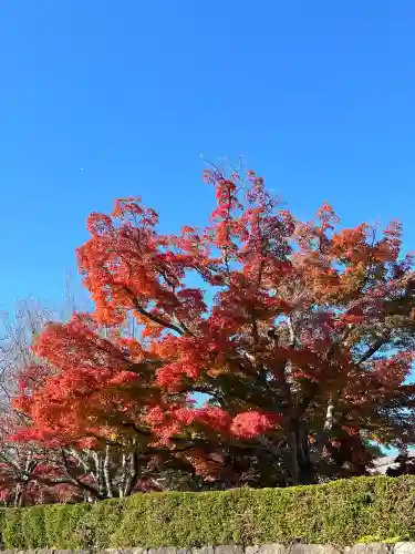 西教寺(滋賀県)
