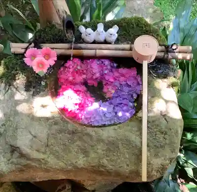 柳谷観音　楊谷寺(京都府)