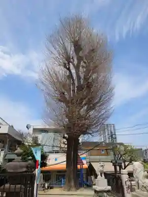 杉田八幡神社（杉田八幡宮）(神奈川県)