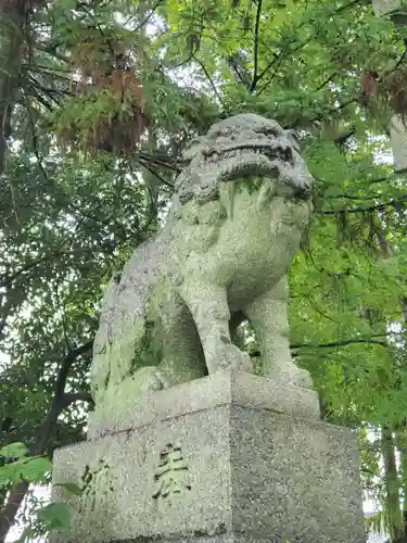 立木神社の狛犬