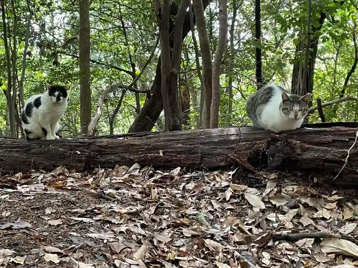 石手寺(愛媛県)