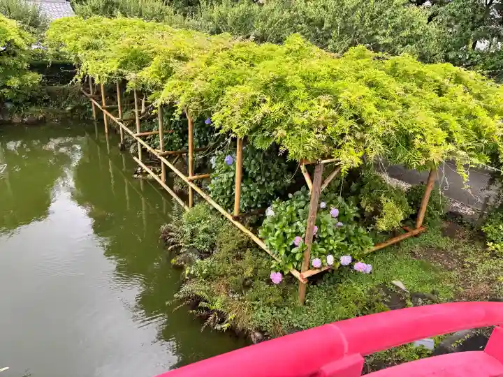 亀戸天神社(東京都)