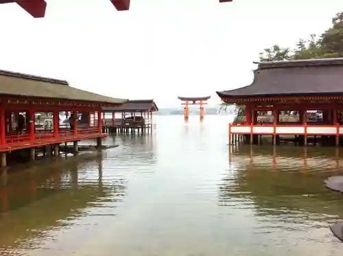 厳島神社の鳥居