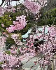 根岸八幡神社(神奈川県)