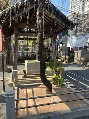 柏神社(千葉県)