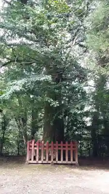 二上神社の自然