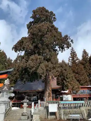 鼬幣稲荷神社の建物その他