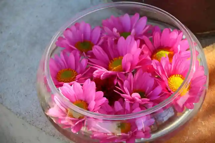大鏑神社の手水舎