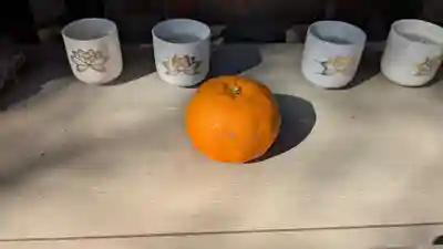 儀光寺(愛媛県)