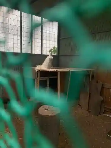 蓮田東照宮(埼玉県)