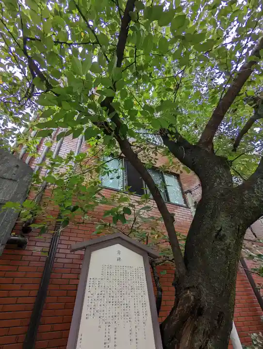 墨染寺(桜寺)(京都府)