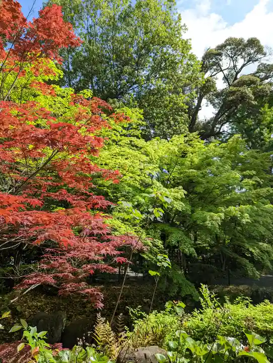 長岡天満宮(京都府)