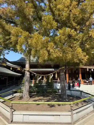 寒川神社の{uncategorized: "未分類", other: "その他", undefined: "問題あり", building: "その他建物", grave: "お墓", sacred_gate: "鳥居", guardian: "狛犬", statue: "像", buddha: "仏像", history: "歴史", nature: "自然", garden: "庭園", animal: "動物", pagoda: "塔", temizu: "手水舎", mountain_gate: "山門・神門", sanctuary: "本殿・本堂", subordinate: "末社・摂社", art: "芸術", scenery: "景色", jizo: "地蔵", ema: "絵馬", goshuin: "御朱印", omikuji: "おみくじ", items: "授与品その他", amulet: "お守り", goshuincho: "御朱印帳", eats: "食事", festival: "お祭り", votive_dance: "神楽", shichigosan: "七五三参", wedding: "結婚式", experience: "体験その他", initially: "初詣", around: "周辺", anti_infection: "感染症対策"}
