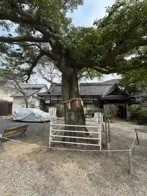 生根神社(大阪府)